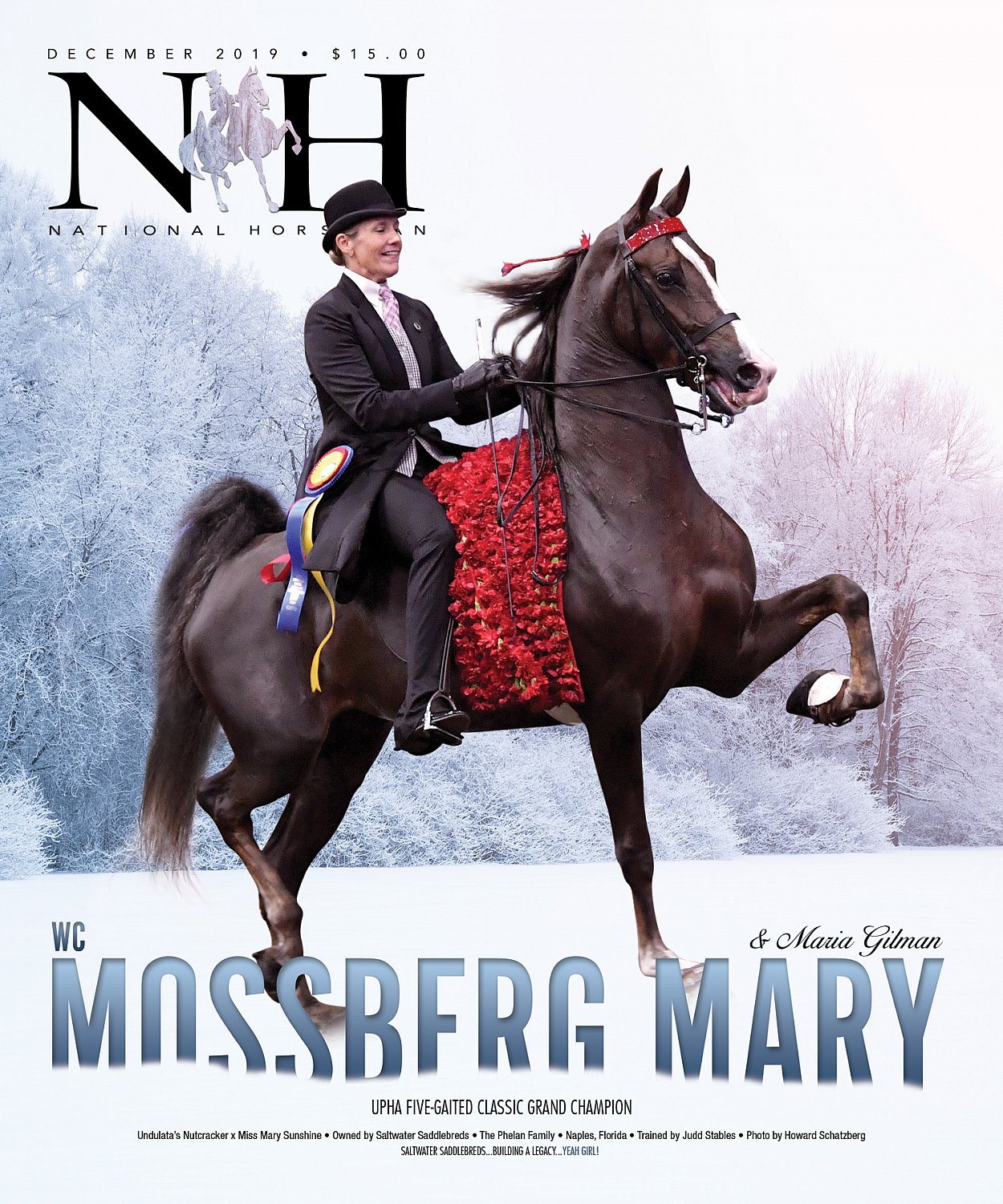 Published Covers | 79923854_2660141890766286_8529575243335860224_o.jpg
