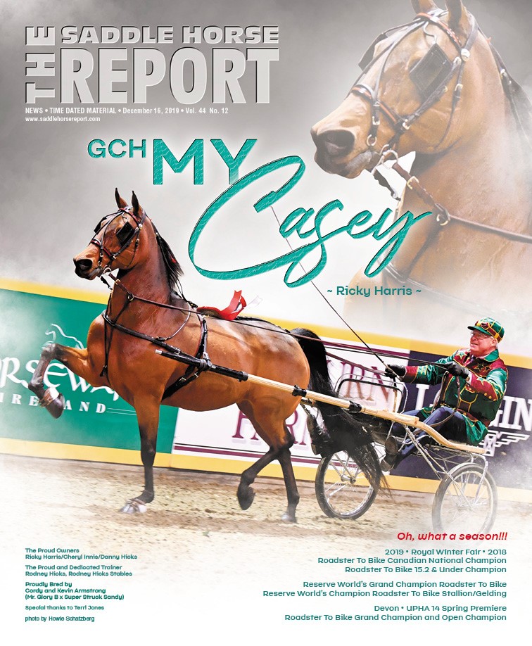 Published Covers | 79423795_2655892697821430_4974757664295747584_n.jpg