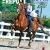 Published Covers | 104127067_3063605790383450_5069742369783453182_o.jpg