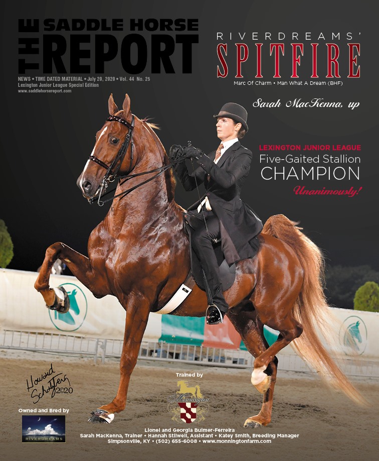 Published Covers | 115750572_3156070217803673_6619993484859337493_n.jpg