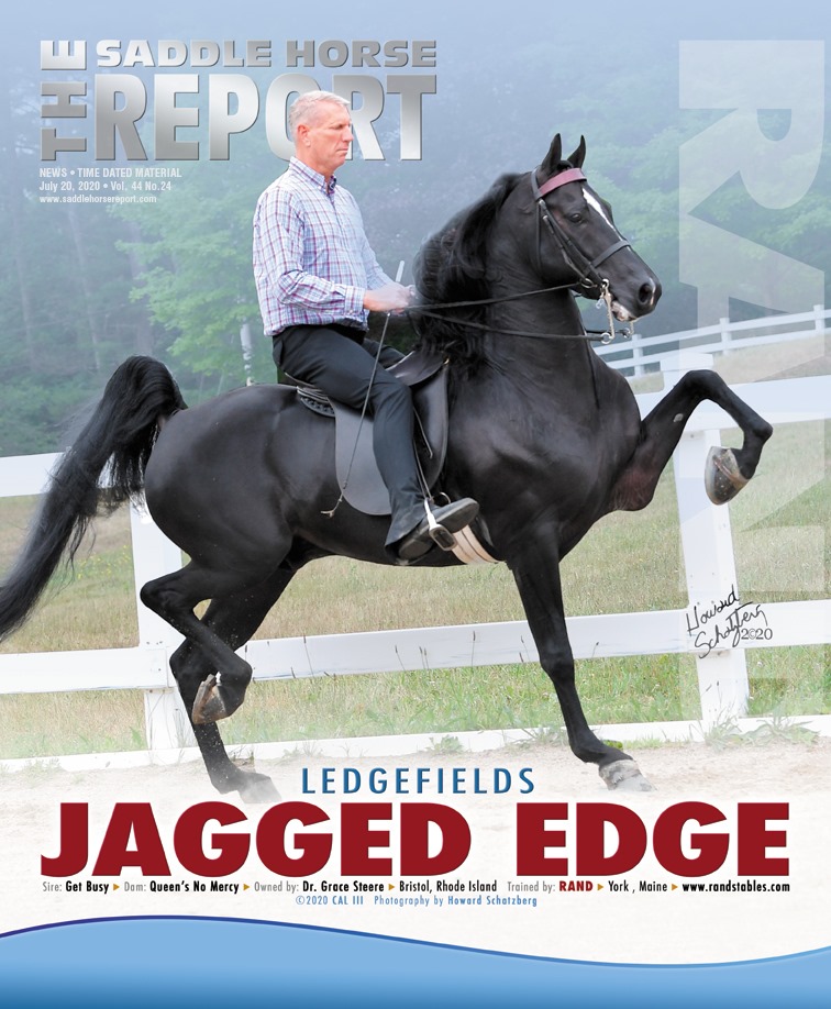 Published Covers | 111454671_3153285041415524_4435414430398031287_n.jpg