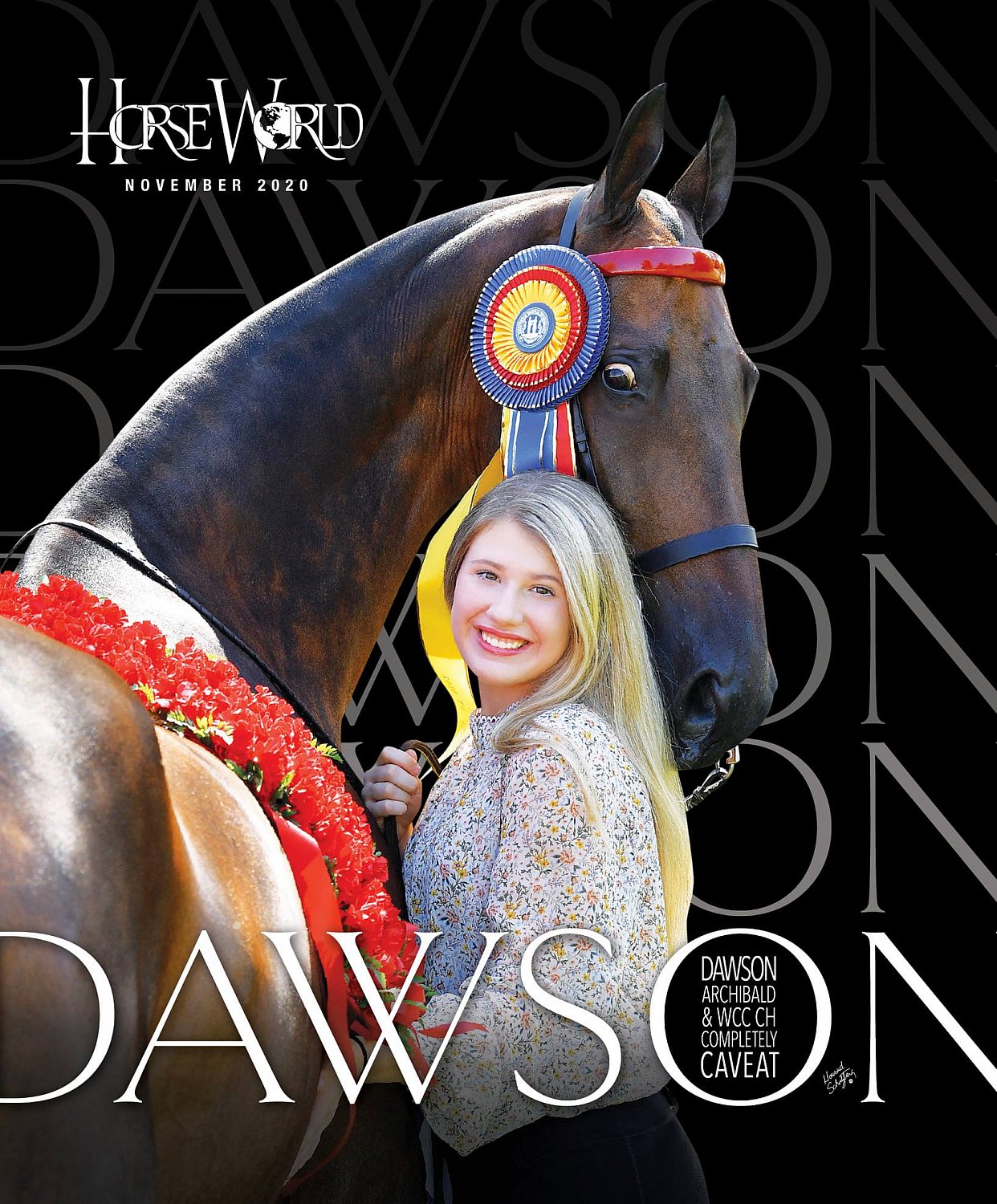 Published Covers | 123139700_3446146568796035_4816824271887953435_o.jpg