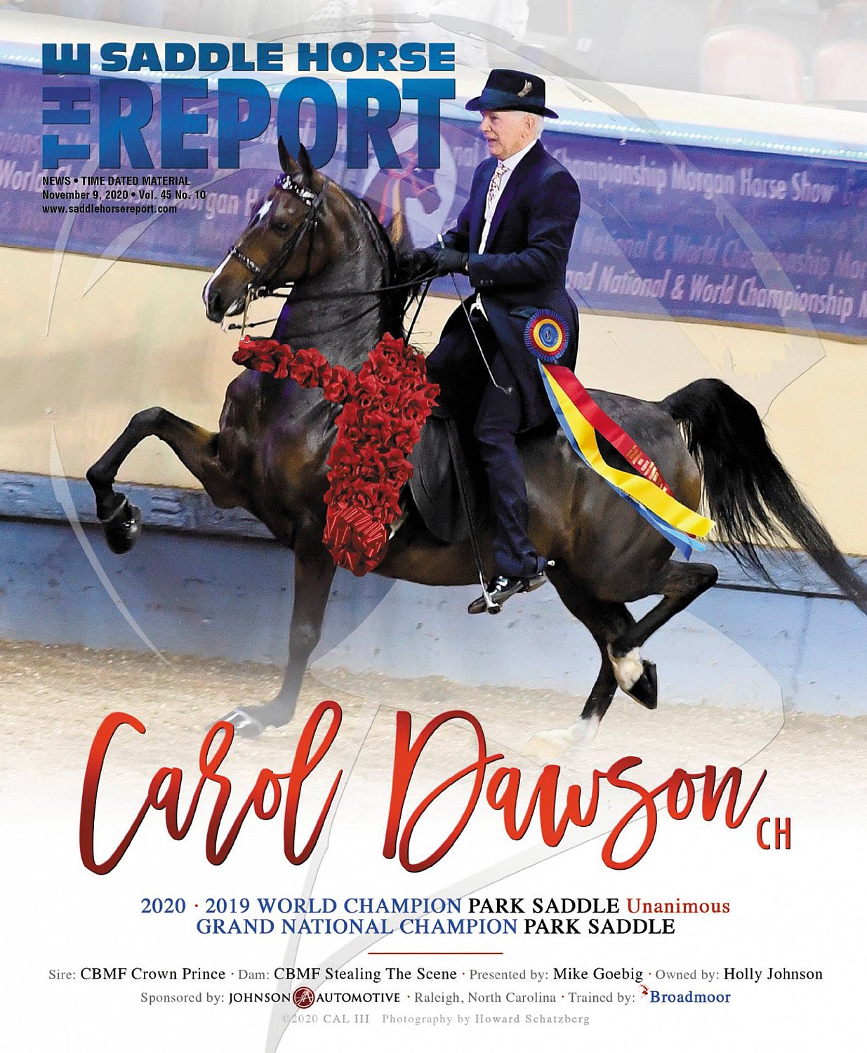 Published Covers | 124786399_3482347958509229_4614112312822758168_o.jpg