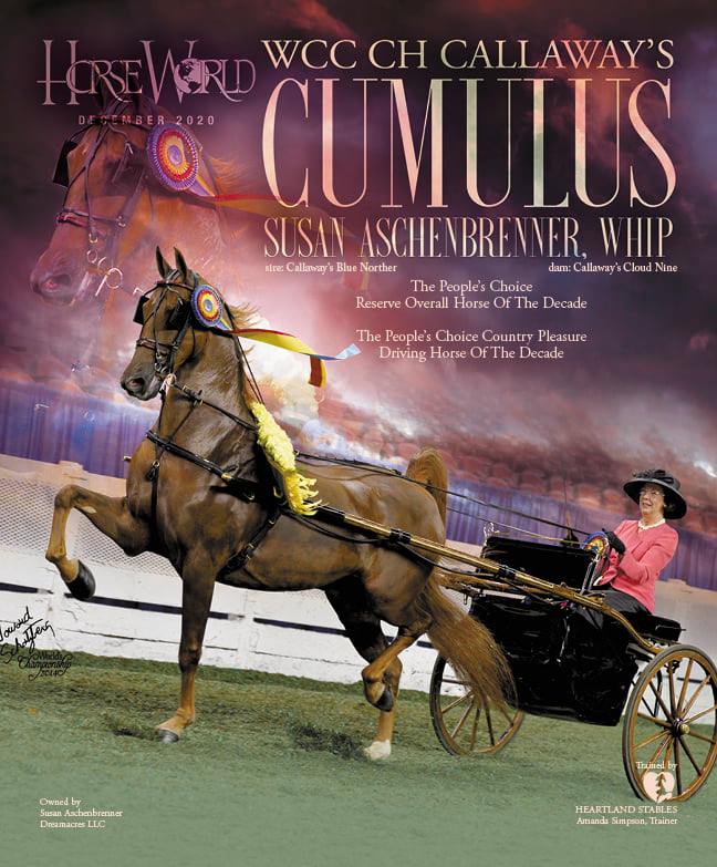 Published Covers | 129724209_3543264332417591_3951704407600162645_n.jpg