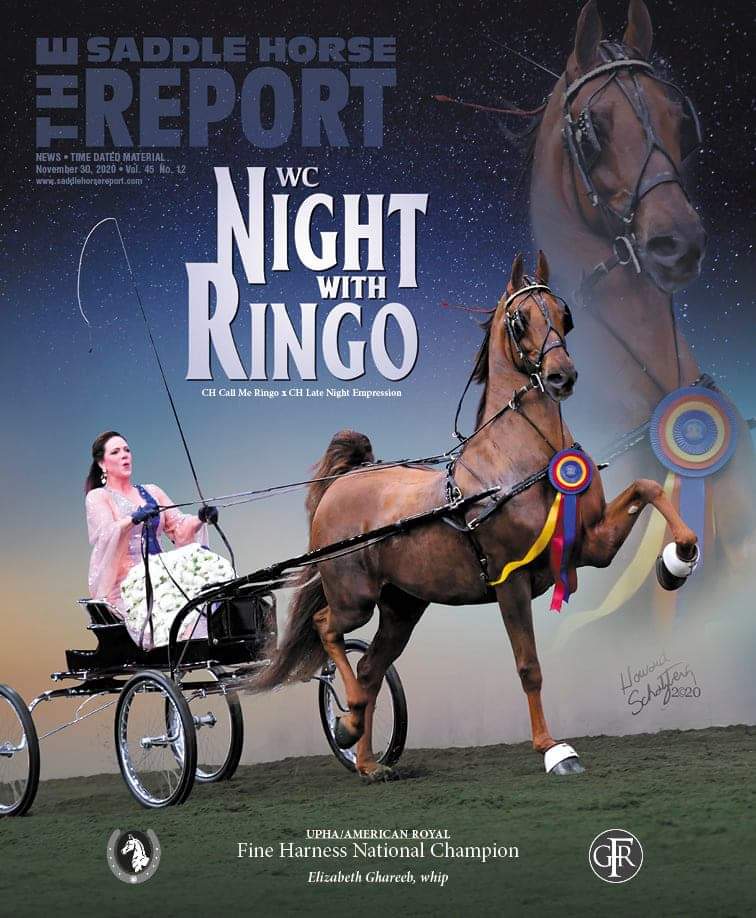 Published Covers | ringo.jpeg