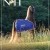 Published Covers | marc.jpeg