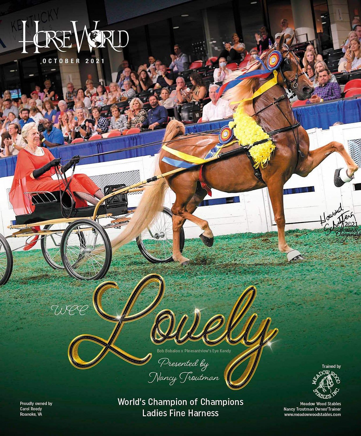 Published Covers | lovely.jpeg