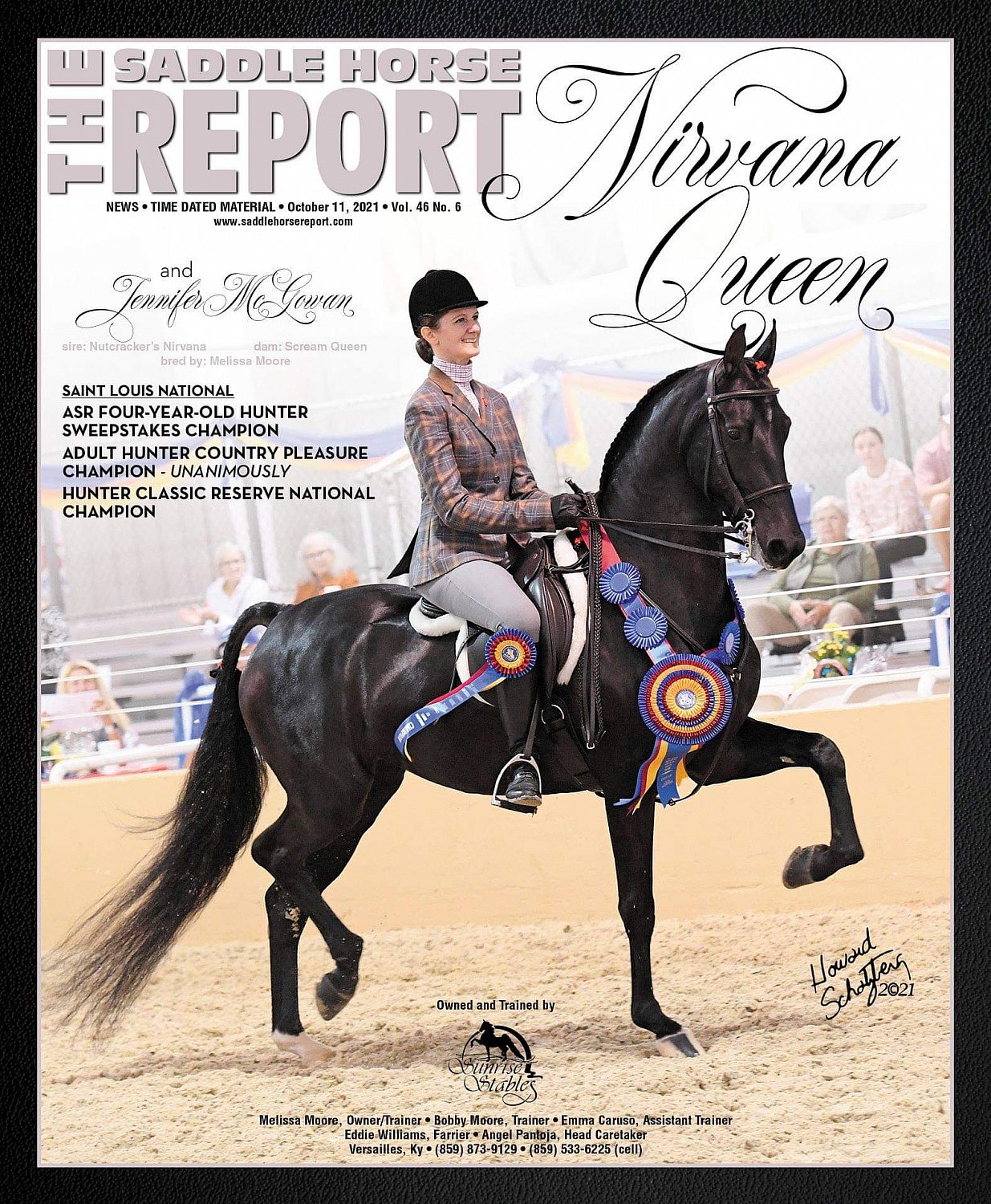 Published Covers | stl_cover.jpeg