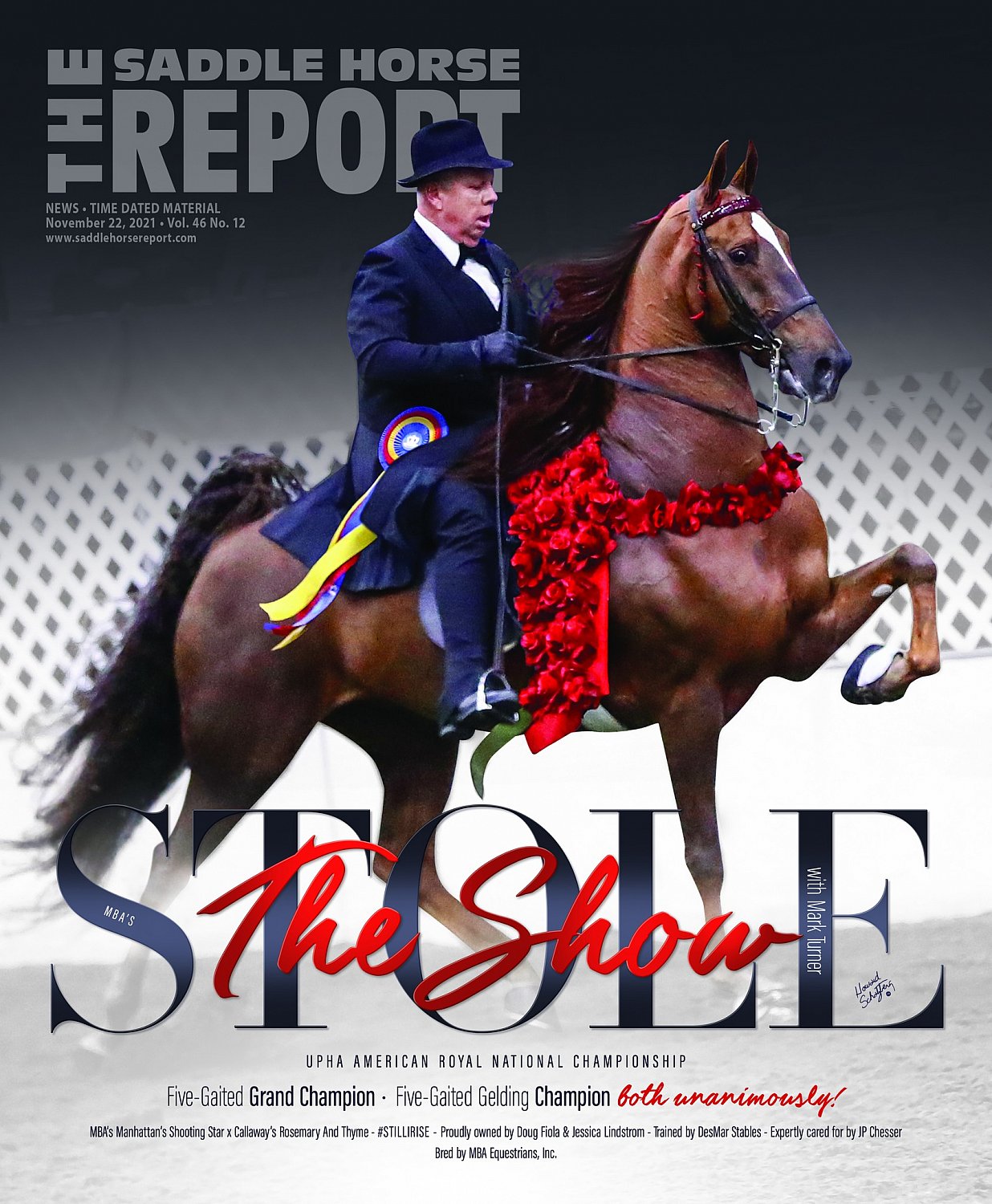 Published Covers | 259334277_4563770443700303_228785261353277505_n.jpg