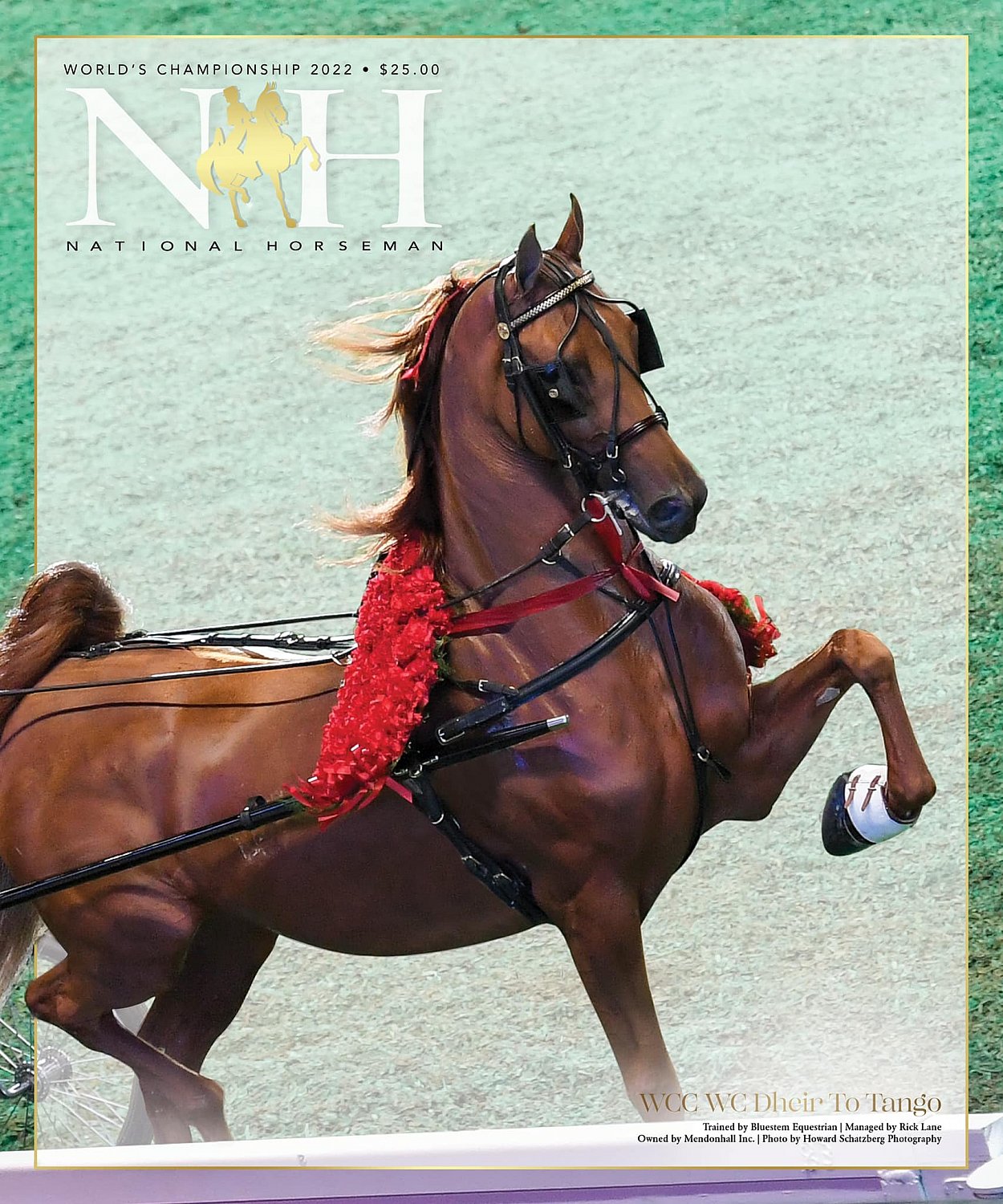 Published Covers | 302591300_5511695178944262_7851770134325763621_n.jpg