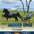 Published Covers | image.png