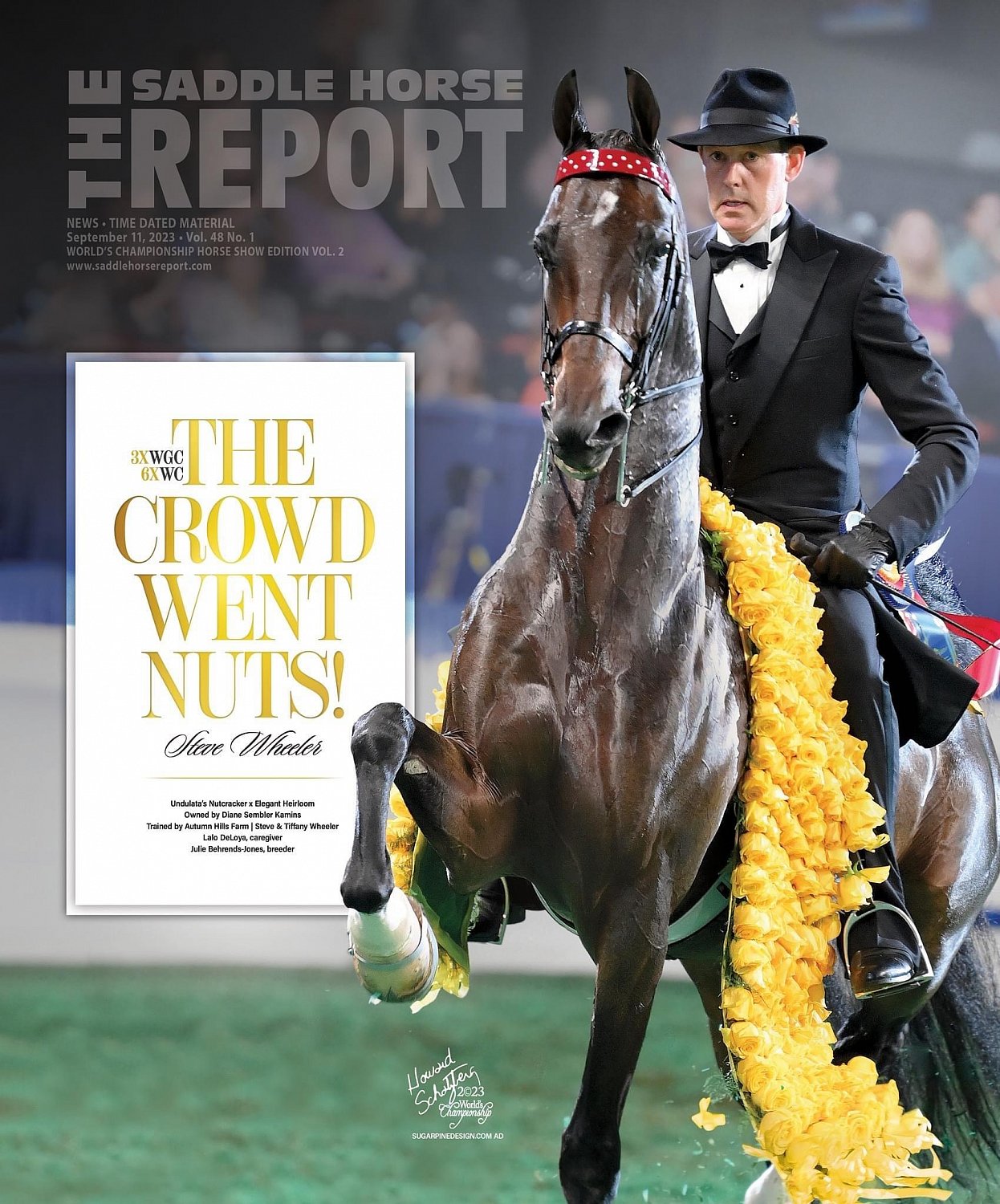 Published Covers | IMG_4122.JPG