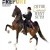 Published Covers | IMG_8199.JPG