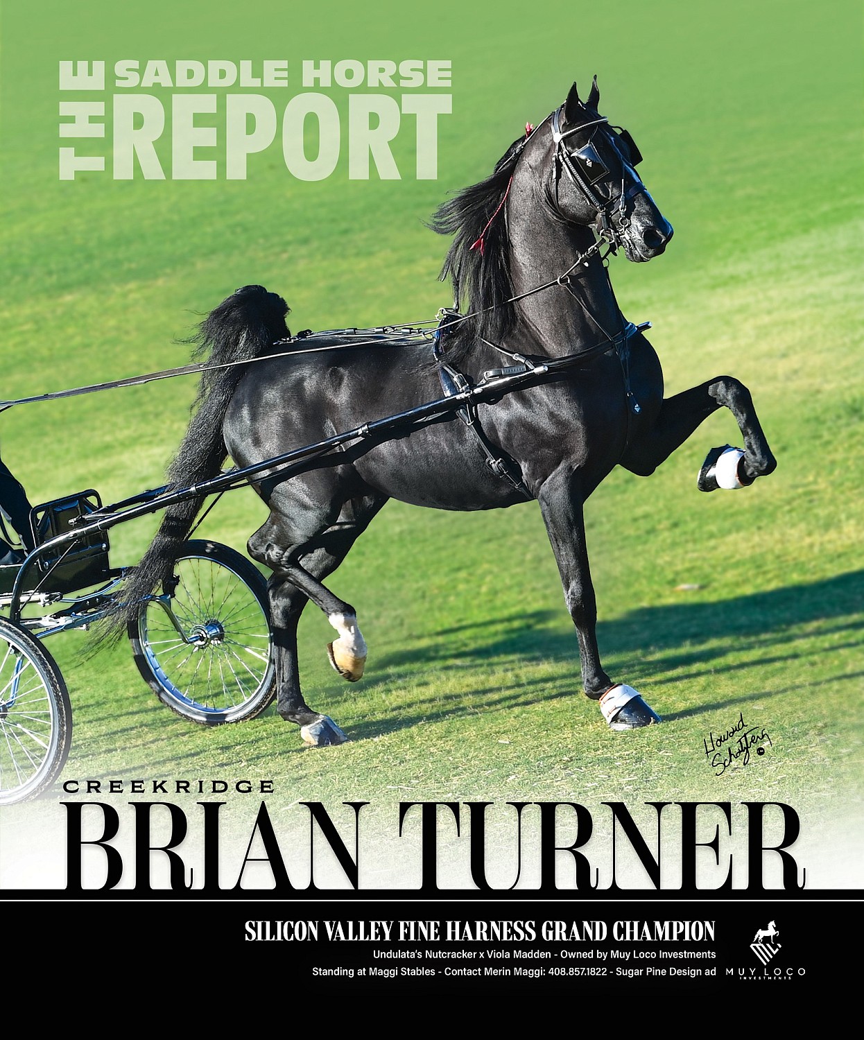 Published Covers | 500708087_1258153142977249_6279534572817934158_n.jpg