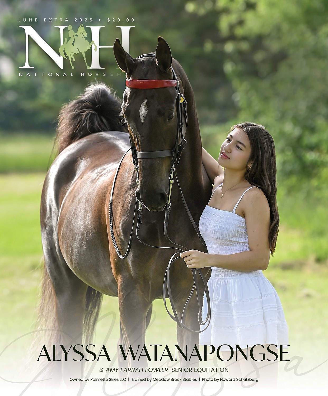 Published Covers | 501627531_1310874173941420_1701457274994079244_n.jpg