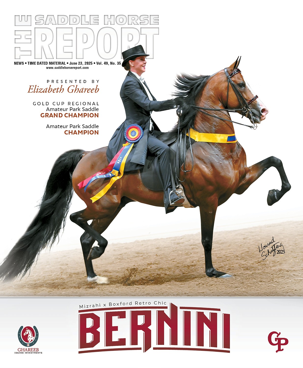 Published Covers | 513164040_1282199067239323_5168900999543119768_n.jpg
