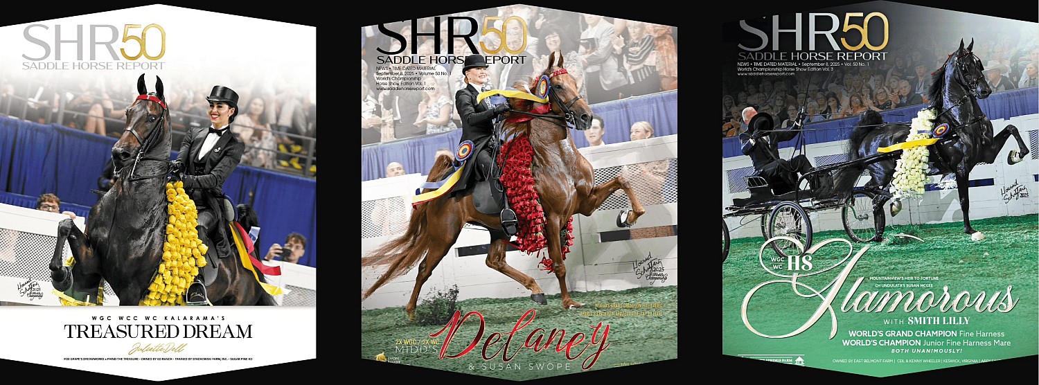 Published Covers | 542760555_1347328054059757_2906711802874896413_n.jpg