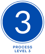 Process Level 3 Logo