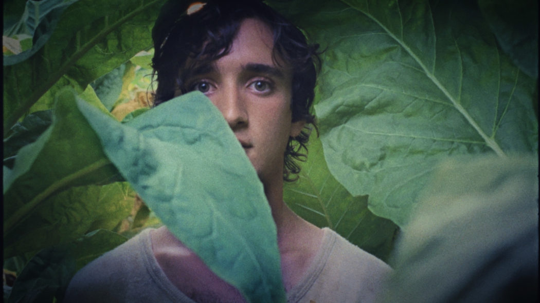 ¿QUÉ PELÍCULAS VER? 9 Lazzaro Felice