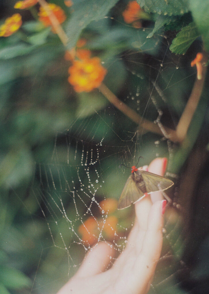 ACFAFD2D A1D7 4ECA 8AB8 838A7ECE0A16
