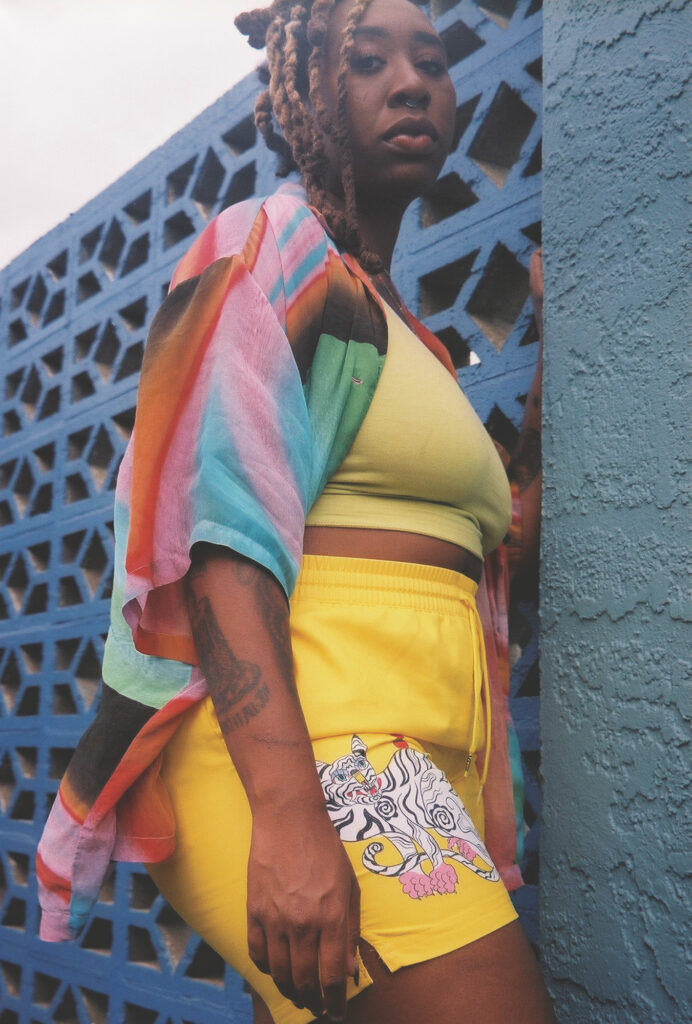 VANS PRIDE 15 Vans Pride AshLuk 3