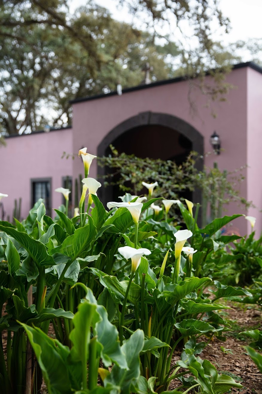 VILLA MANTUA 6 Maple Magazine Villa Mantua bed and breakfast 7