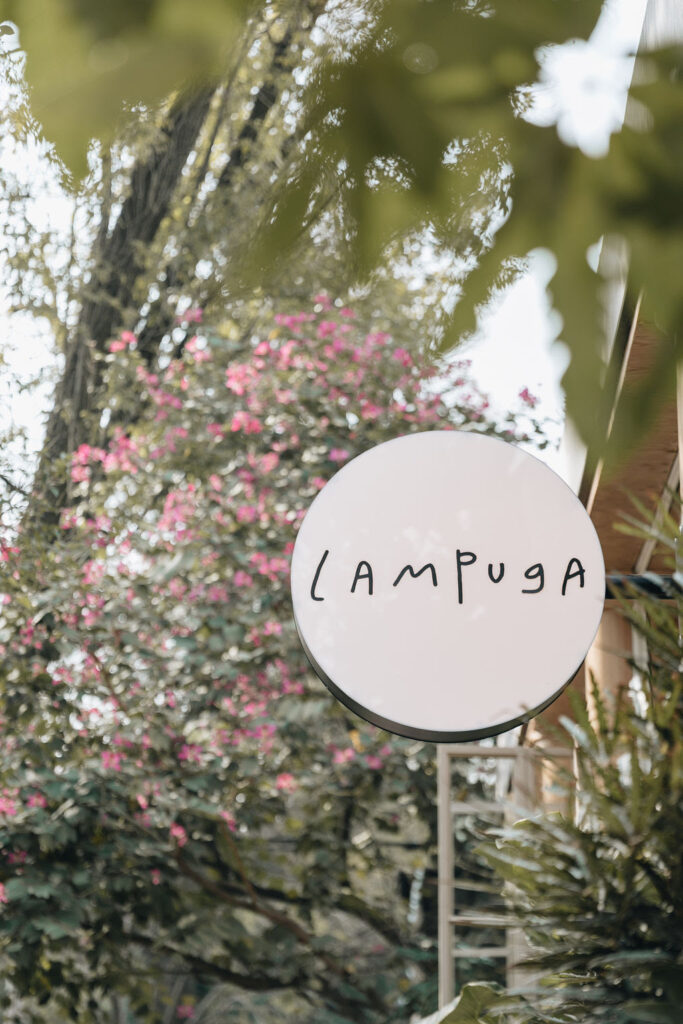 Lampuga re abre sus puertas en Polanquito. 2 MAPLE LAMPUGA 4