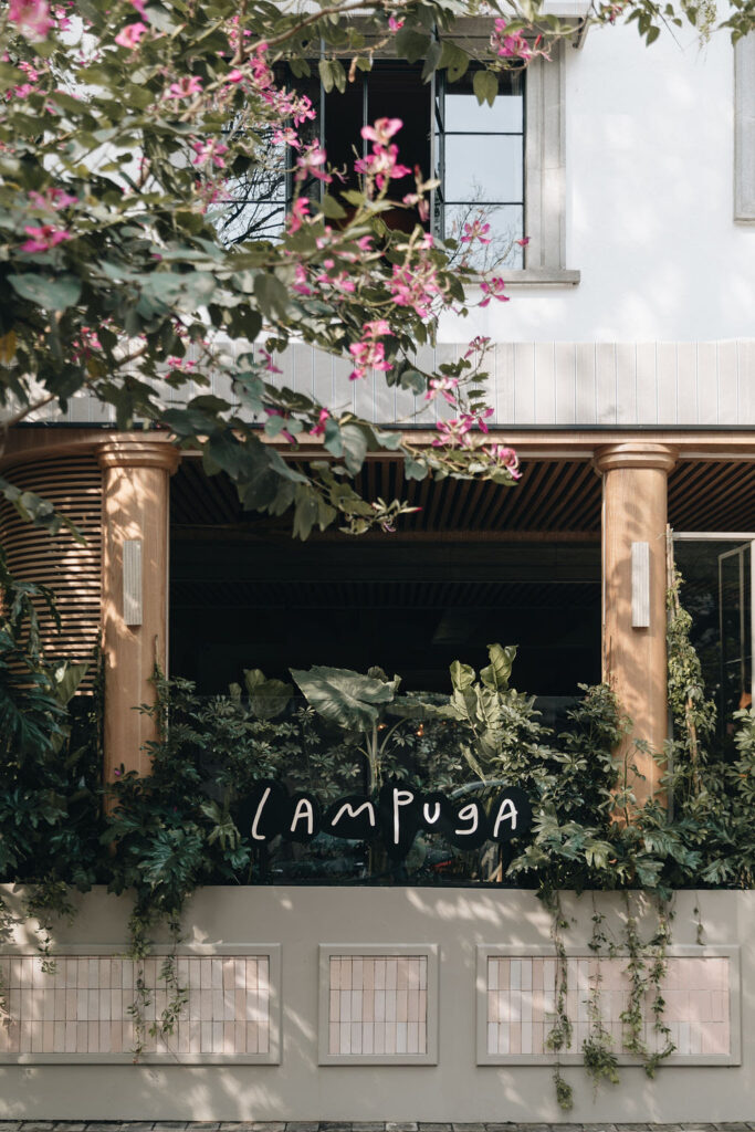 Lampuga re abre sus puertas en Polanquito. 6 MAPLE LAMPUGA 7