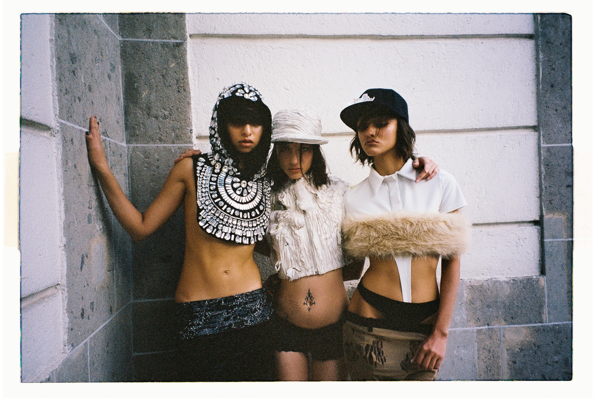MAPLE DITZY CORPORATION Foto 2 4