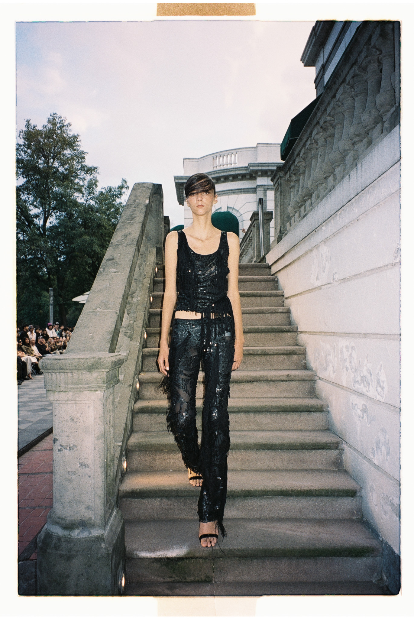 MAPLE DITZY CORPORATION Foto 27