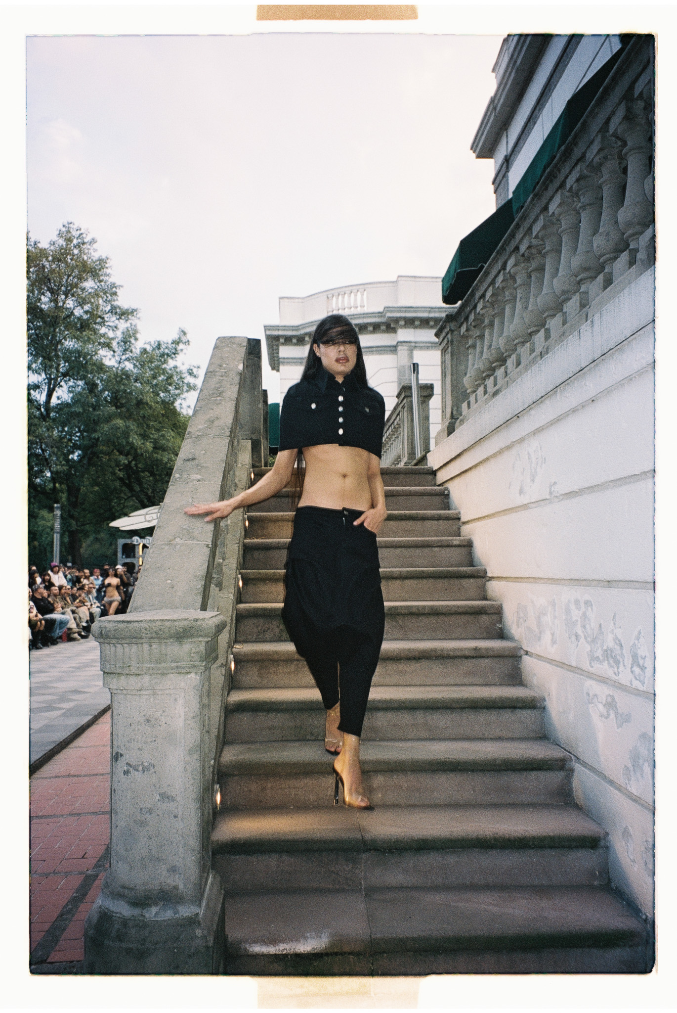 MAPLE DITZY CORPORATION Foto 28