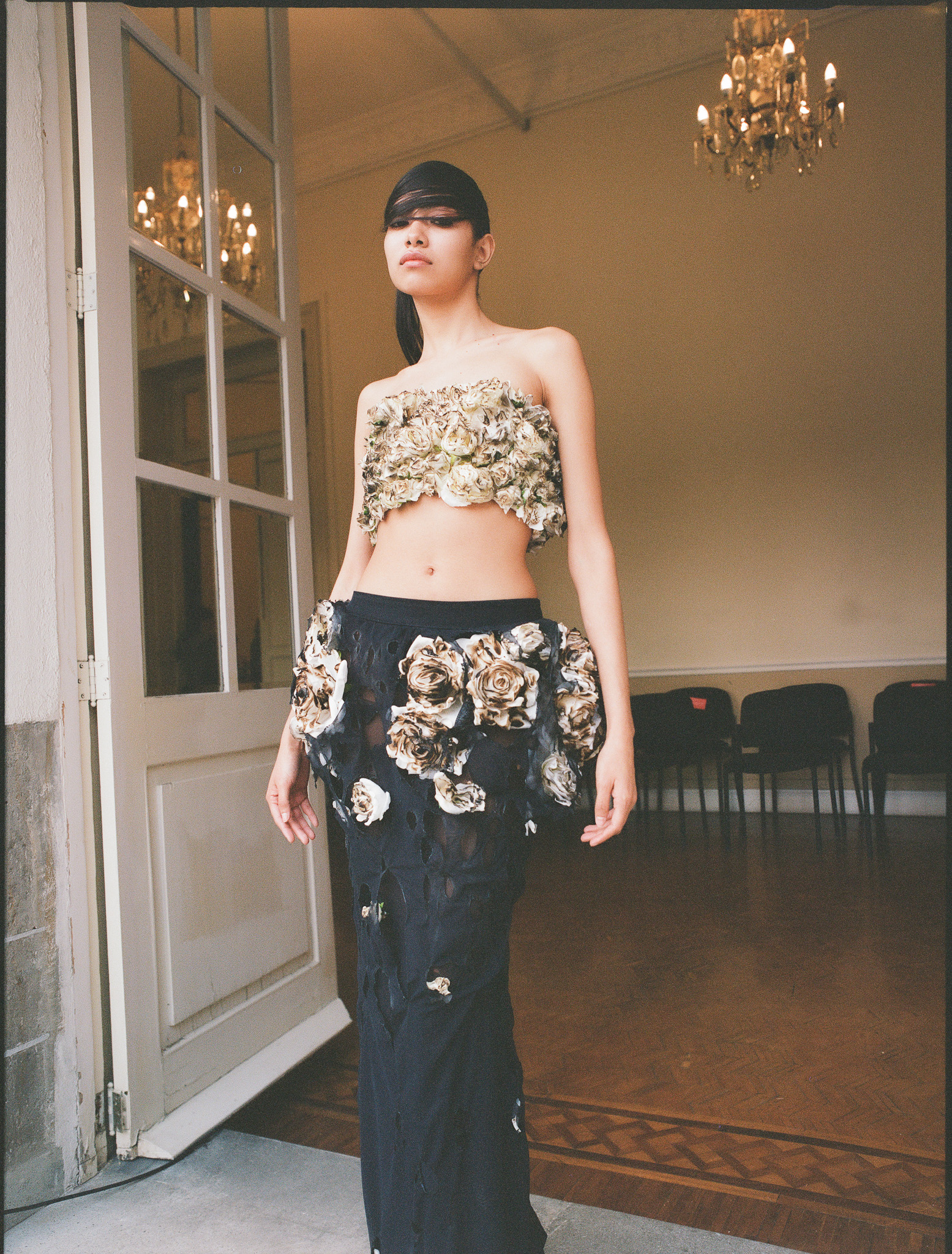 MAPLE DITZY CORPORATION Foto 4 3