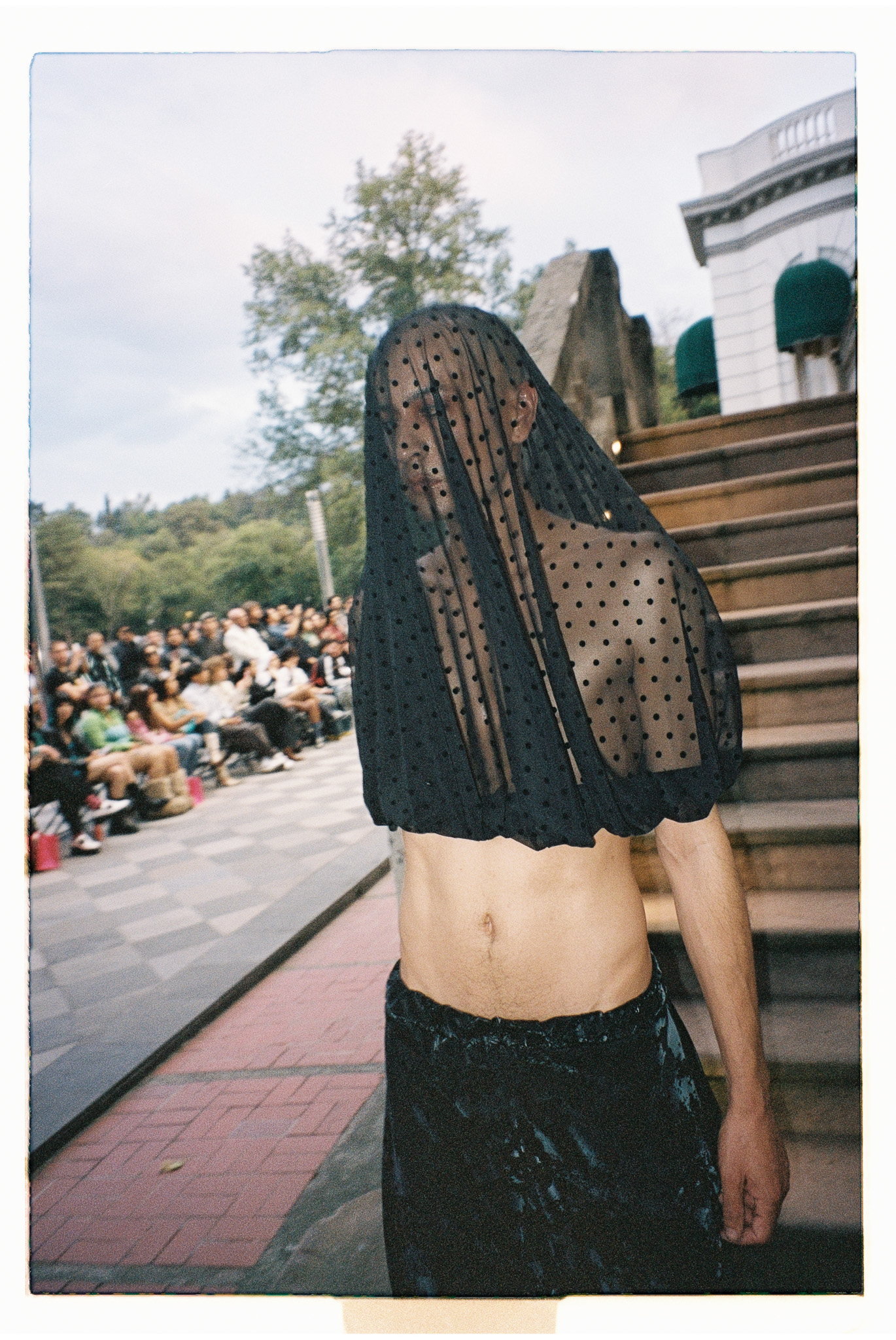 MAPLE DITZY CORPORATION Foto 6 5