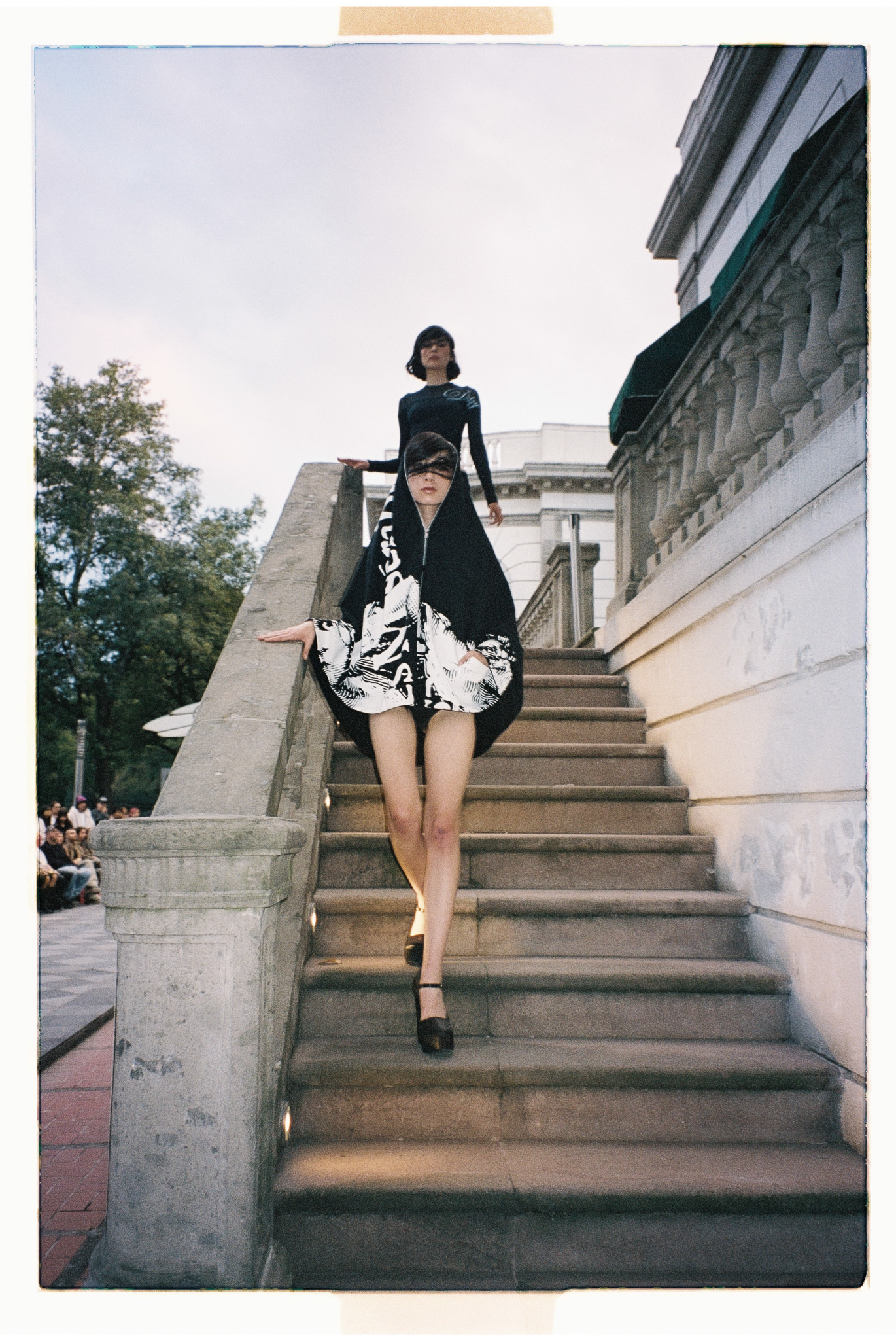 MAPLE DITZY CORPORATION Foto 7 5