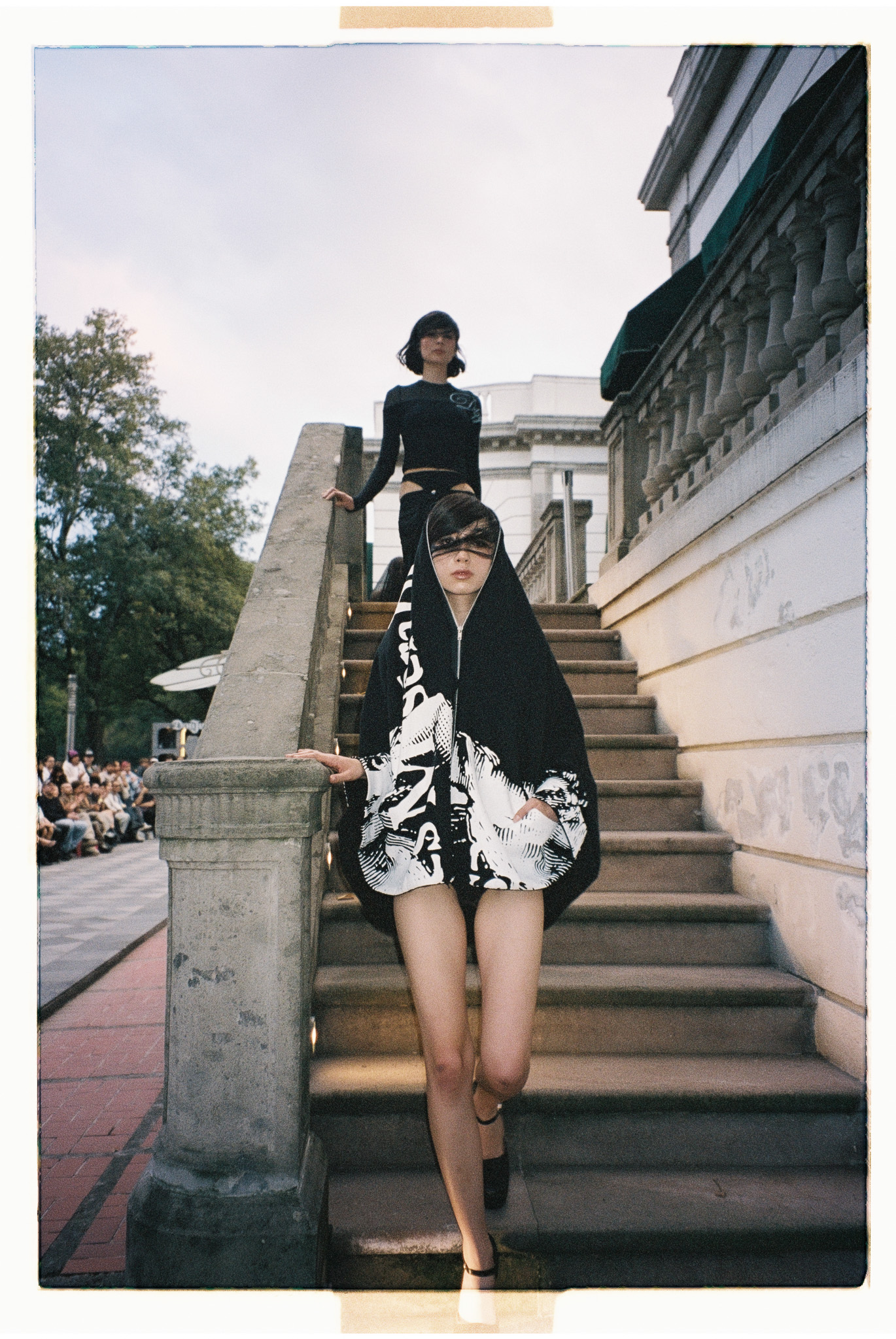 MAPLE DITZY CORPORATION Foto 8 5
