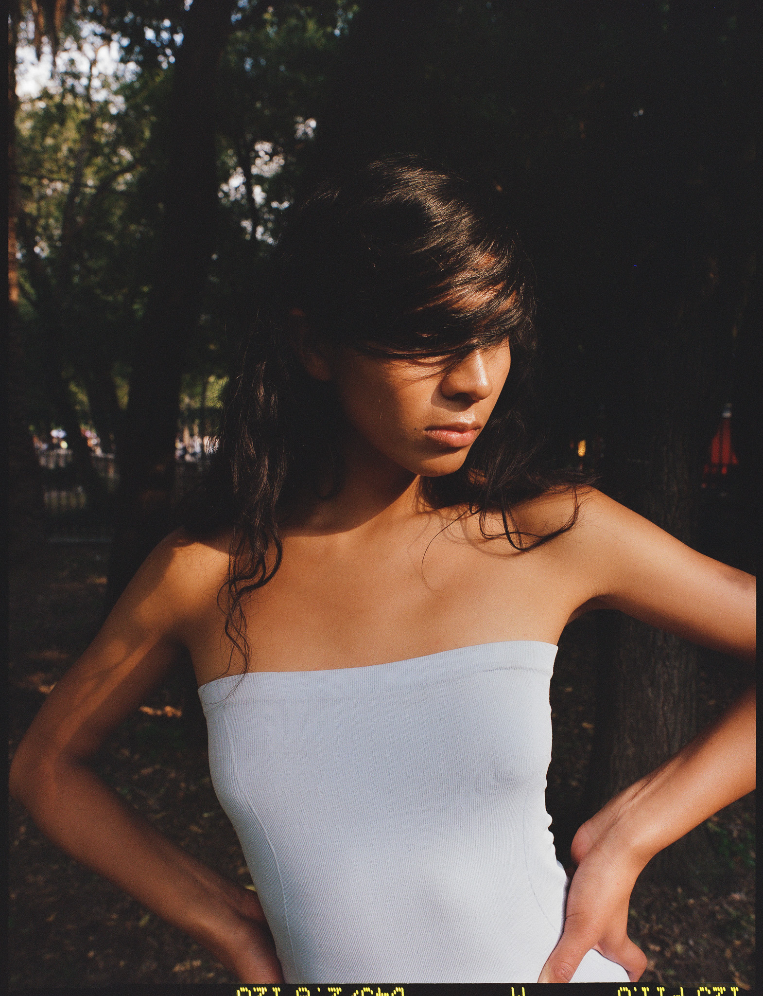 MAPLE DITZY CORPORATION Foto 9 2