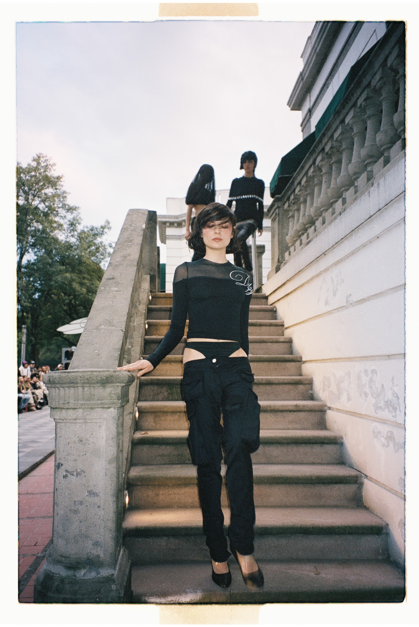 MAPLE DITZY CORPORATION Foto 9 5