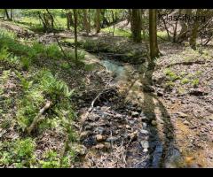 Mountain View Properties for Sale in NC – Compass Land Group - 2