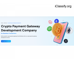 Cryptocurrency Payment Gateway Development