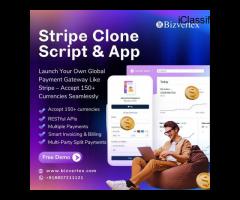 Stripe Clone Script