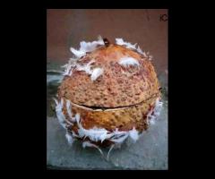 The Most Powerful Spiritual Herbalist In Nigeria+2347054677644