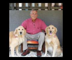 Boulevard Animal Hospital