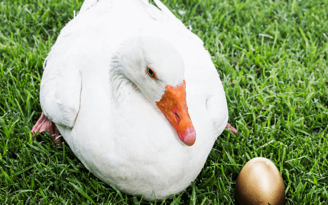 Income Property Investing: The Golden Goose of Real Estate