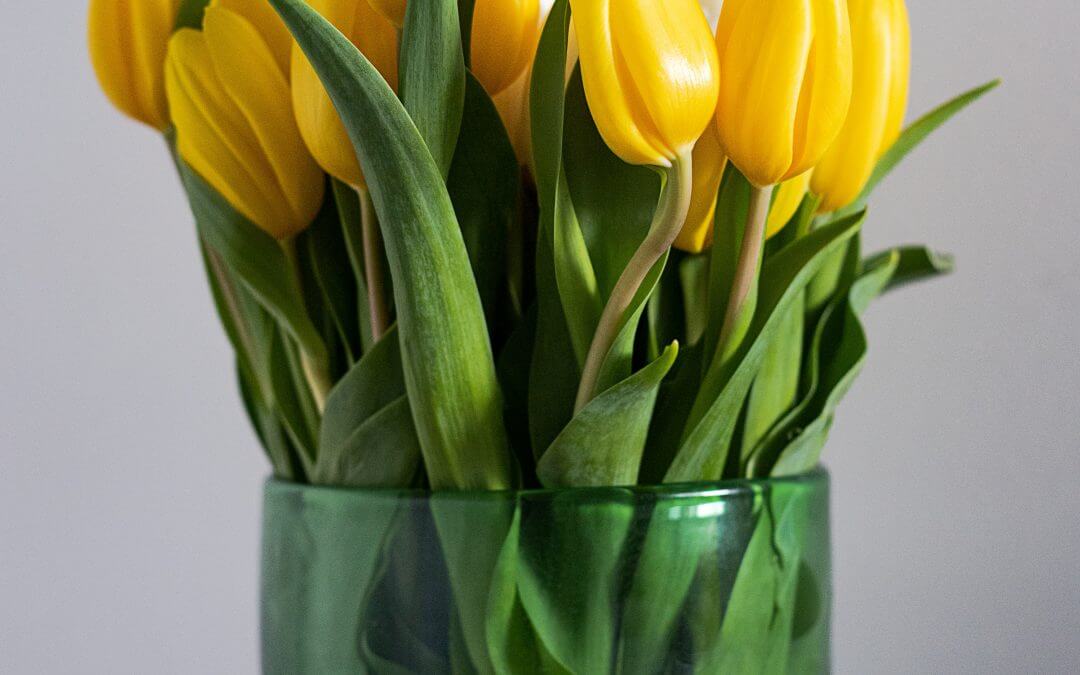 What Tulipmania Can Teach You About Markets