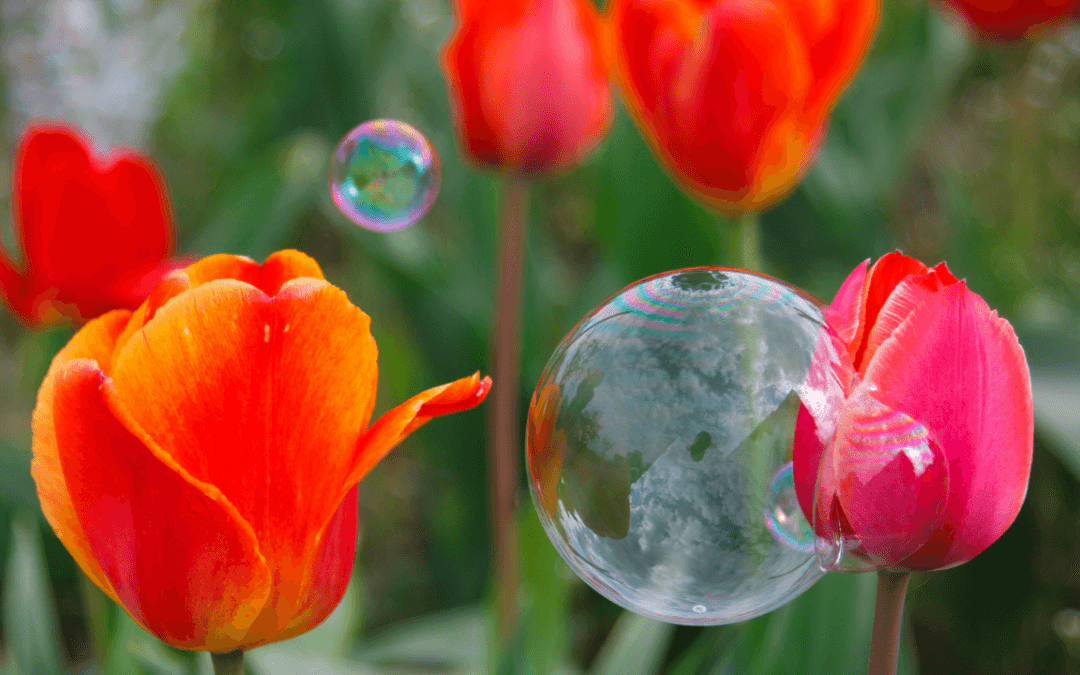 The Real Cost of Bubbles