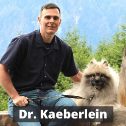 1430: COVID-19 Treatments & Life Extension, Forgivable Loans, De-Globalization, Dr. Kaeberlein