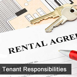 CW 1045 – Good News Economy, Tenant Responsibilities, Saving Money on Repairs & Maintenance