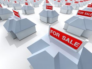 platinum properties investor network