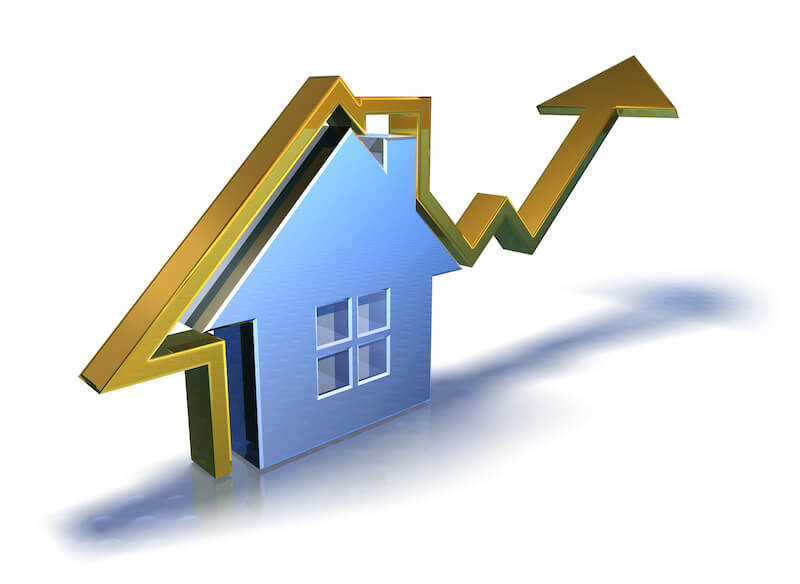 Real Estate Market Trends and Much More