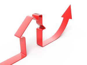 real estate investment advice